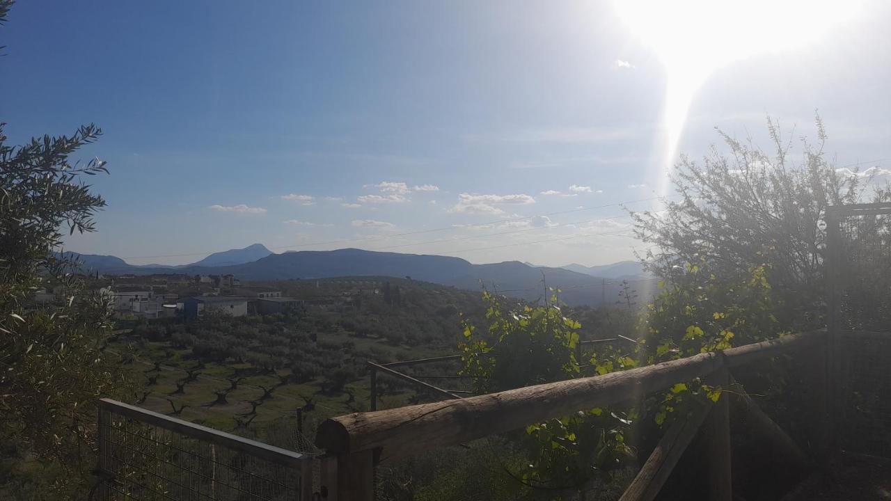 Apartament Cortijo El Cerro Alcaudete Zewnętrze zdjęcie