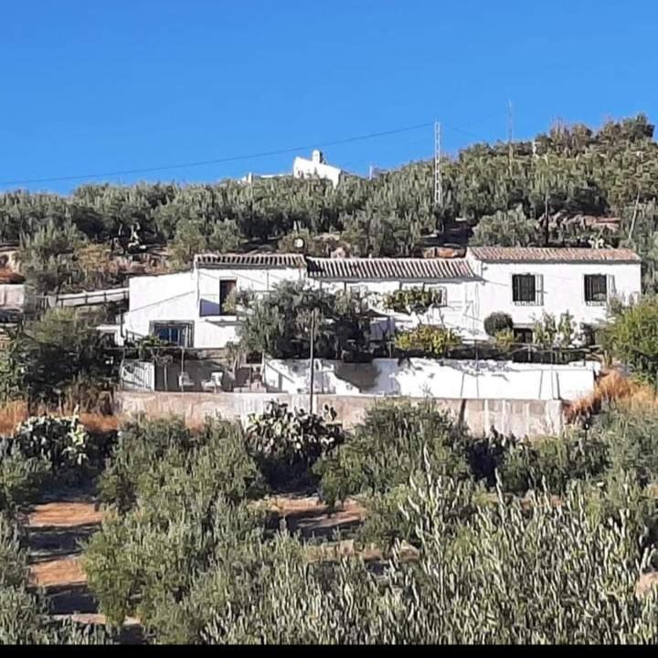 Apartament Cortijo El Cerro Alcaudete Zewnętrze zdjęcie